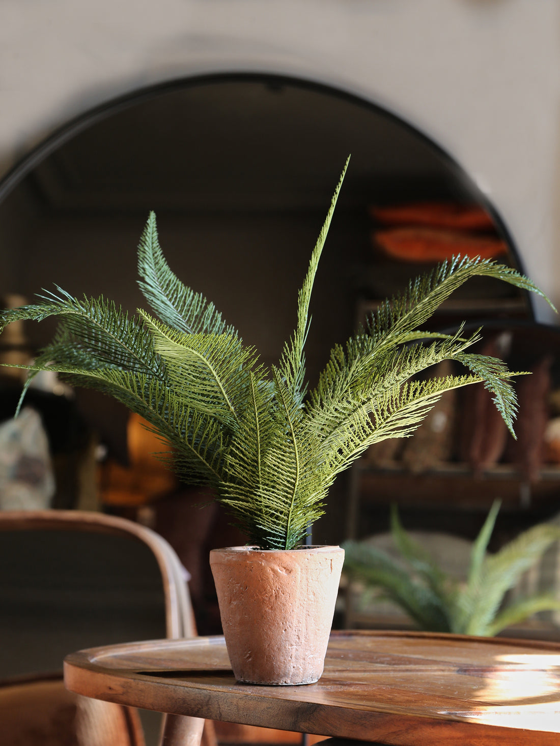 Faux Silver Palm - Ceramic Pot