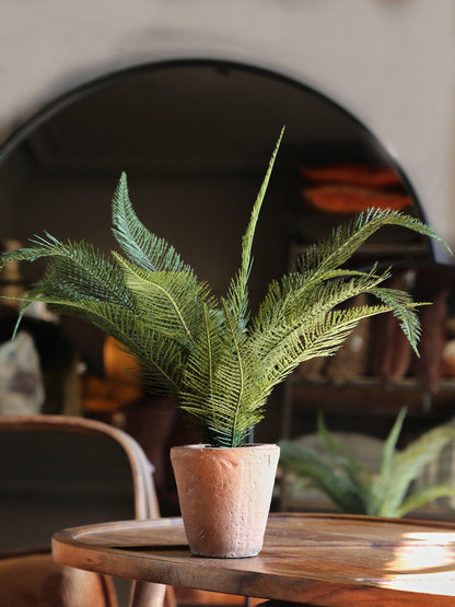 Faux Silver Palm - Ceramic Pot