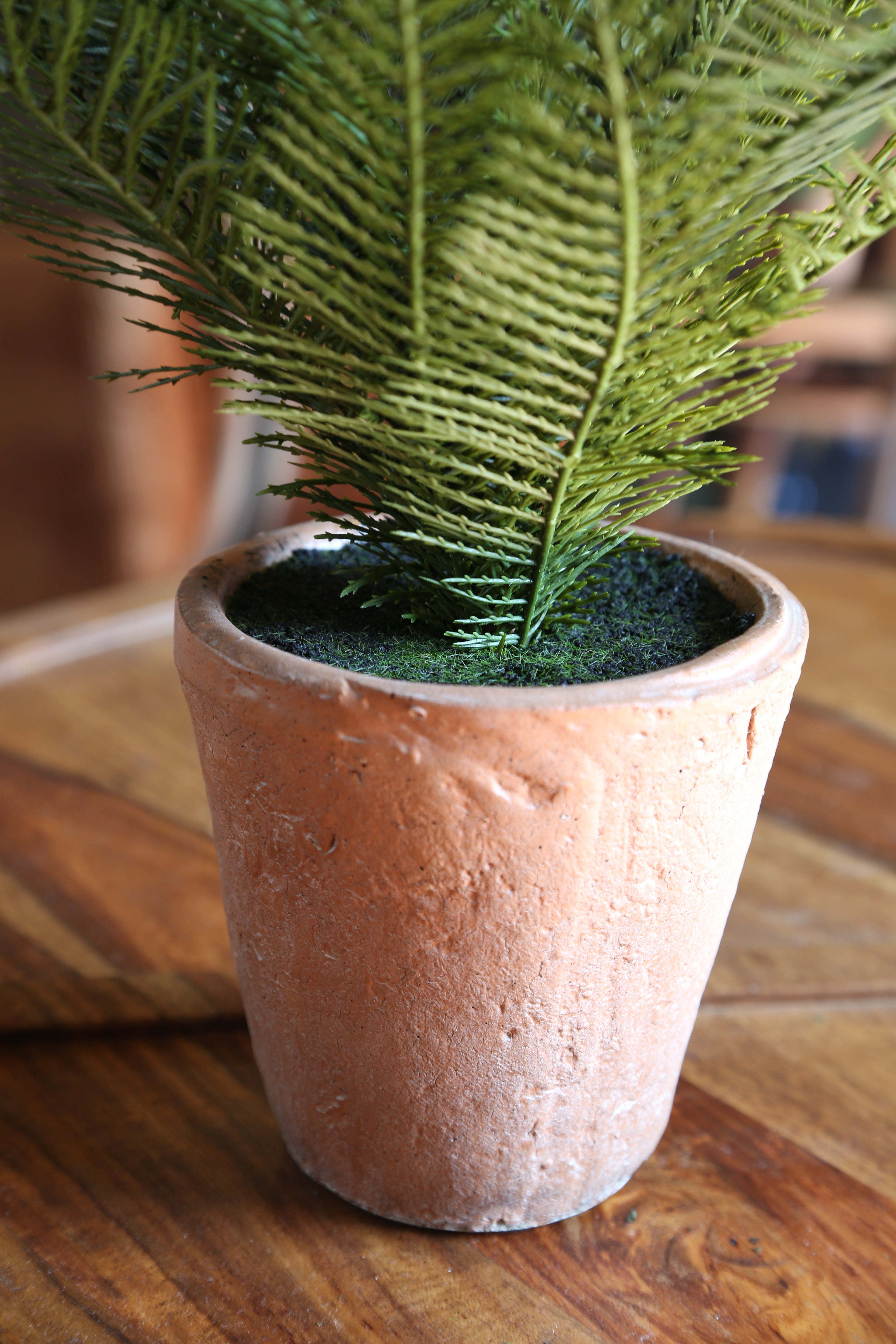 Faux Silver Palm - Ceramic Pot