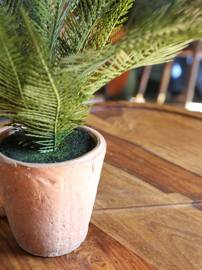 Faux Silver Palm - Ceramic Pot