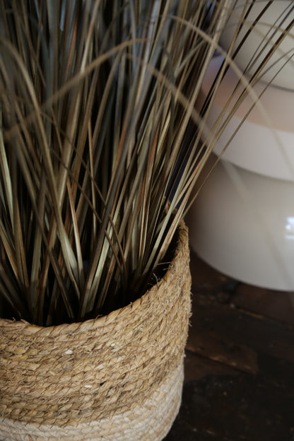 Faux Auburn Botanical Grass - Potted Plant