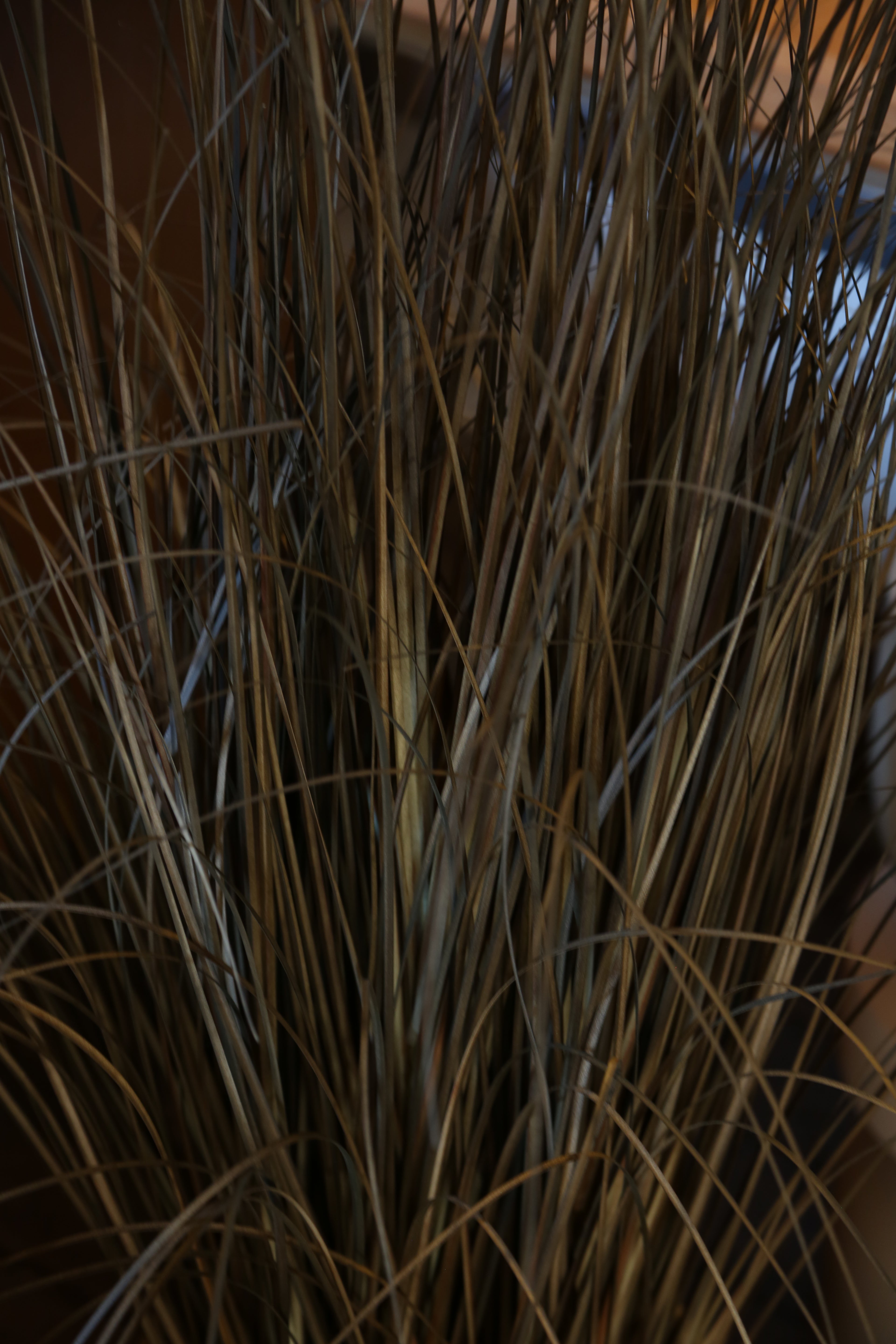 Faux Auburn Botanical Grass - Potted Plant