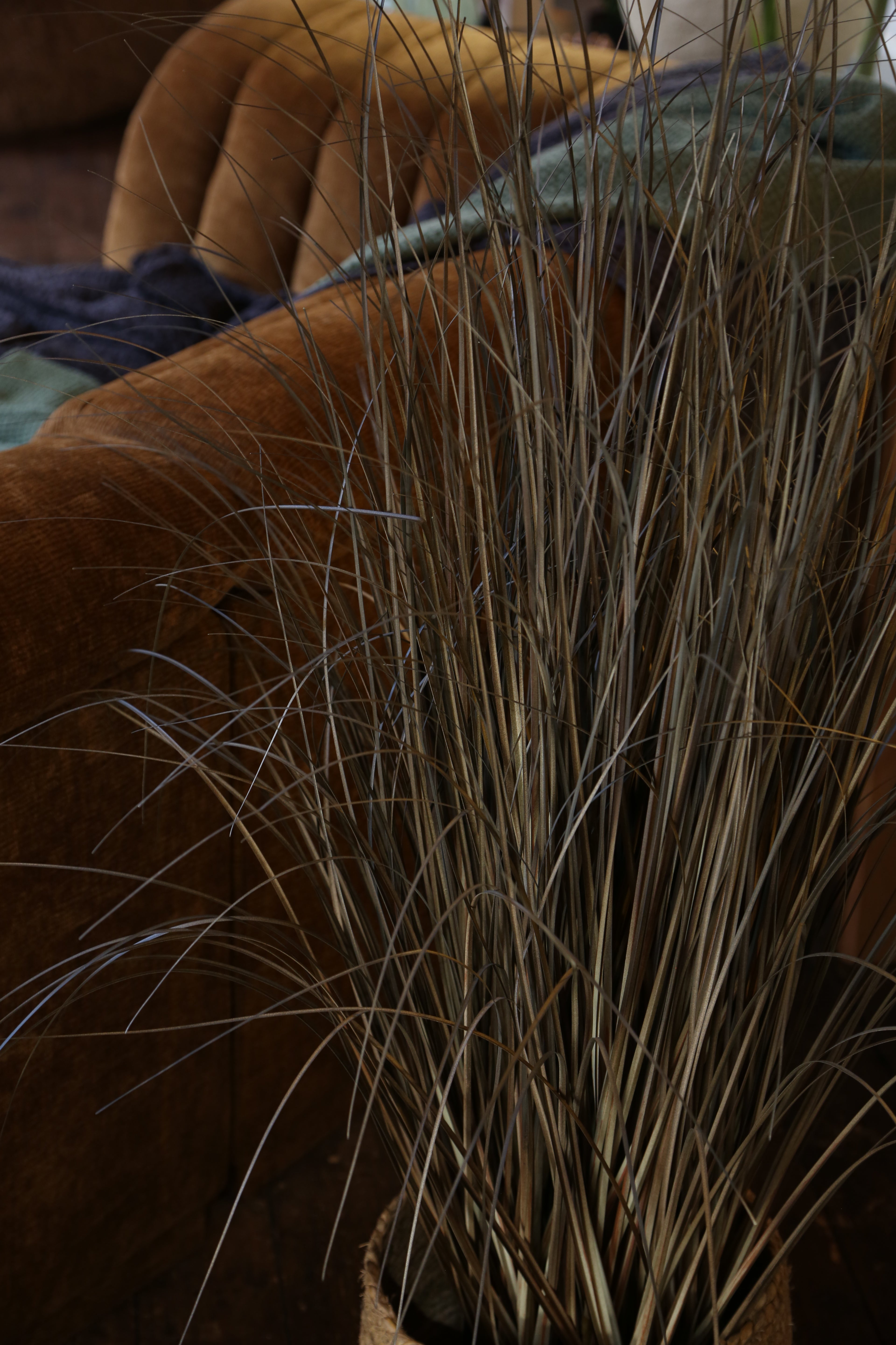 Faux Auburn Botanical Grass - Potted Plant