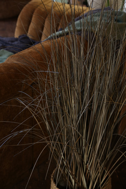 Faux Auburn Botanical Grass - Potted Plant