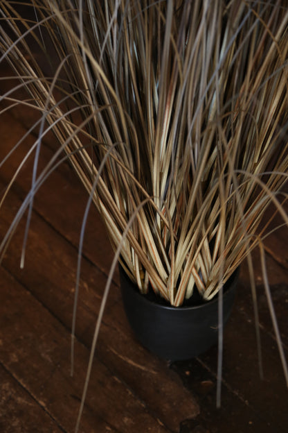Faux Auburn Botanical Grass - Potted Plant