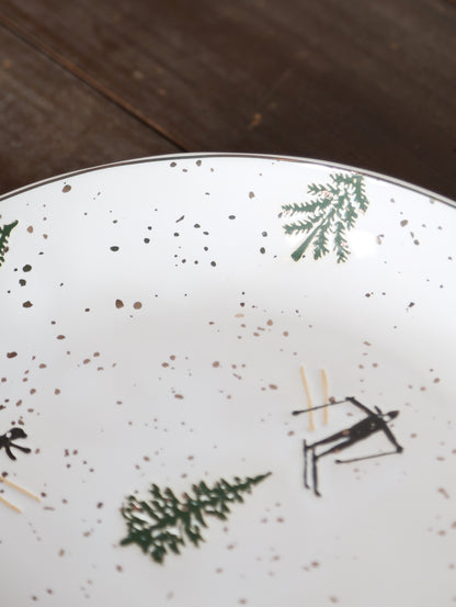 Snowy Skiing Plate
