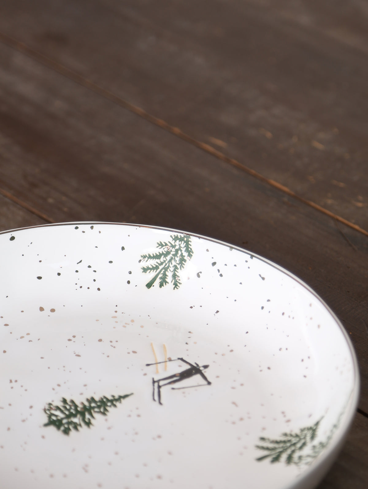 Snowy Skiing Plate
