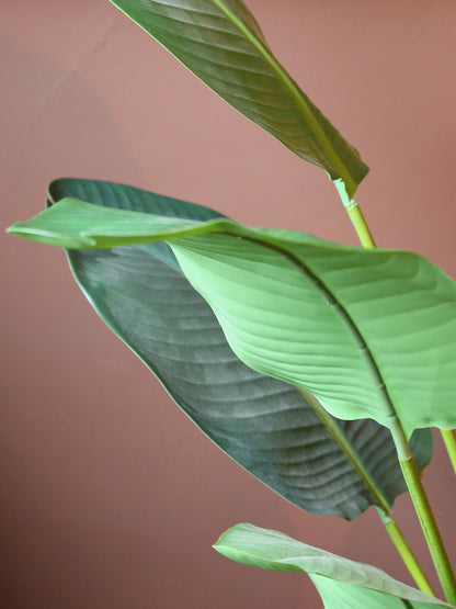 Faux Potted Strelitzia - Real Touch - 2 Sizes Available