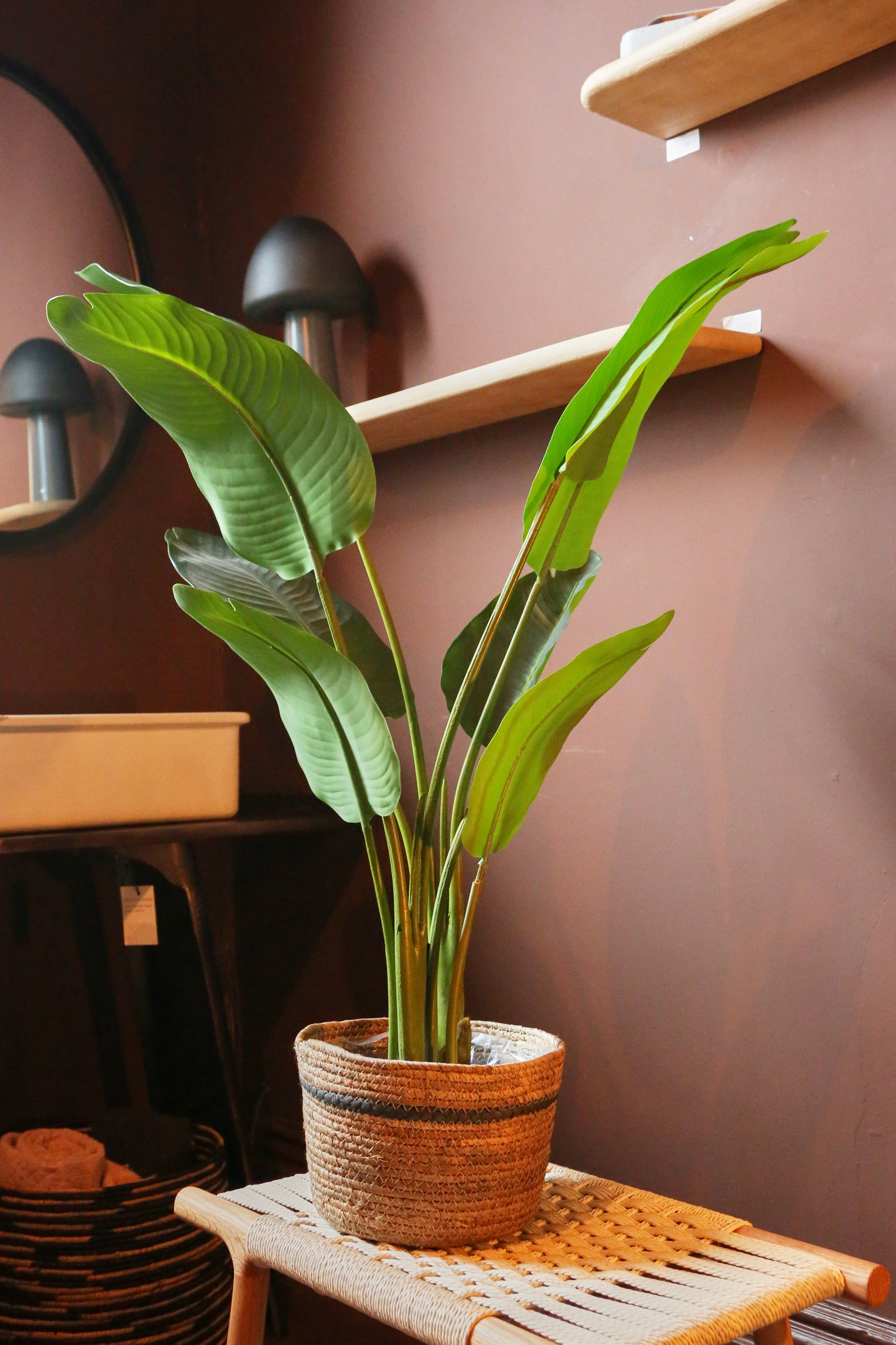 Faux Potted Strelitzia - Real Touch - 2 Sizes Available