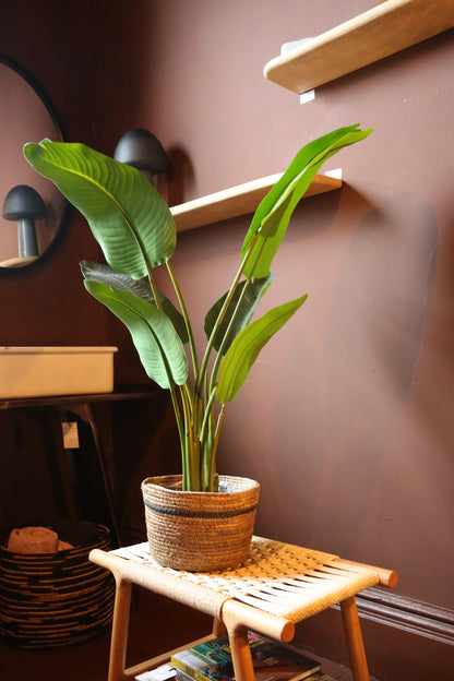 Faux Potted Strelitzia - Real Touch - 2 Sizes Available