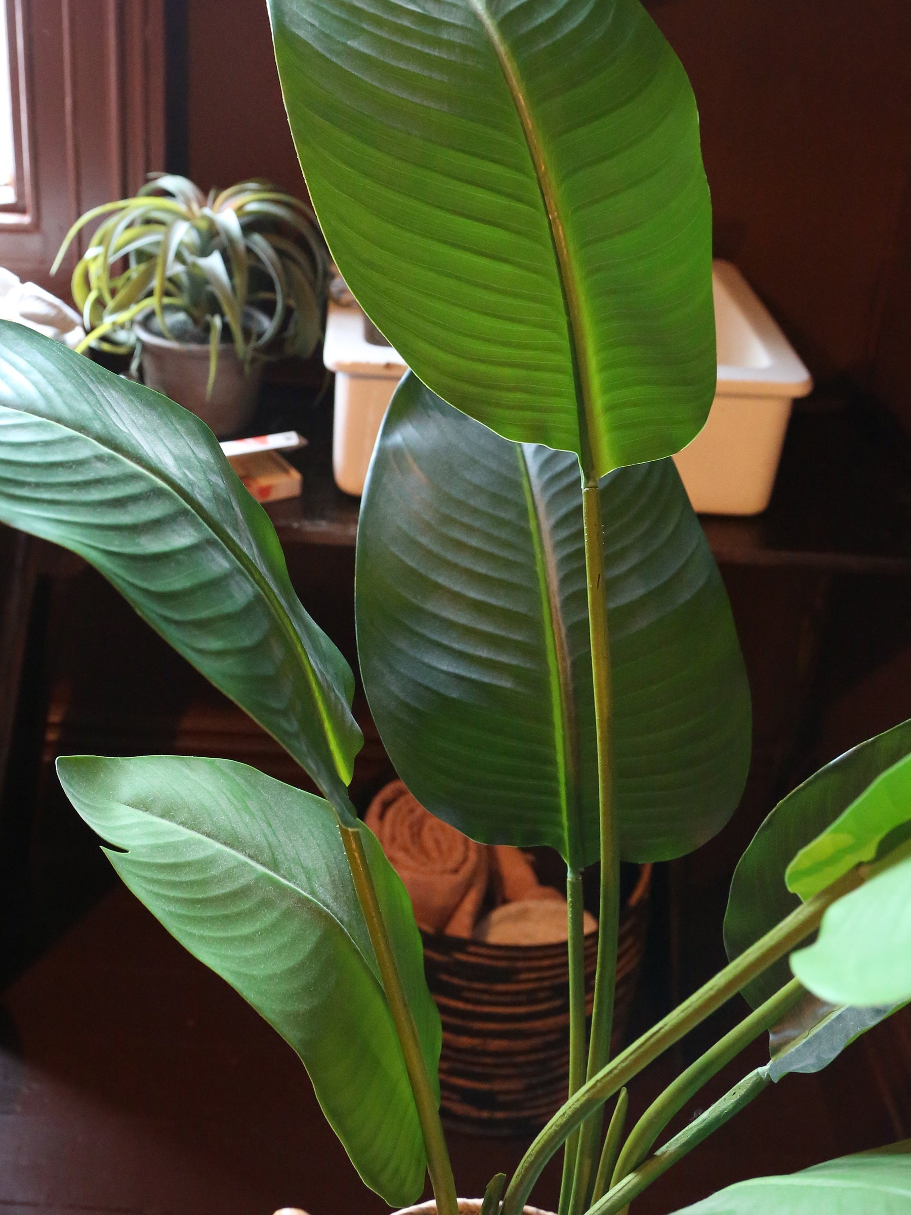 Faux Potted Strelitzia - Real Touch - 2 Sizes Available