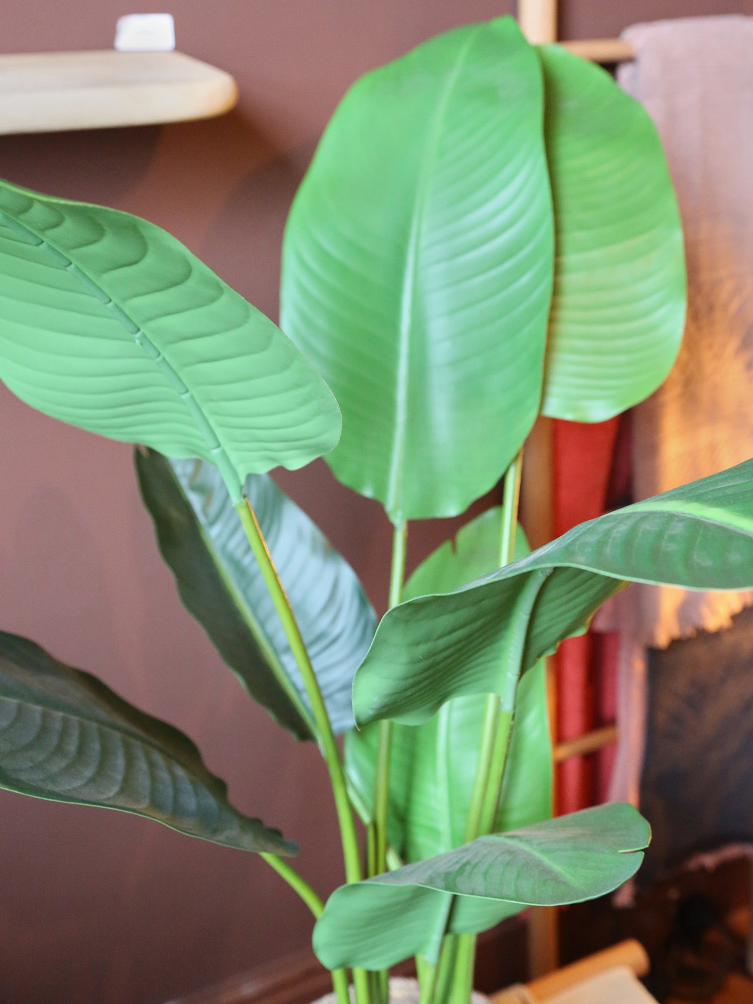 Faux Potted Strelitzia - Real Touch - 2 Sizes Available