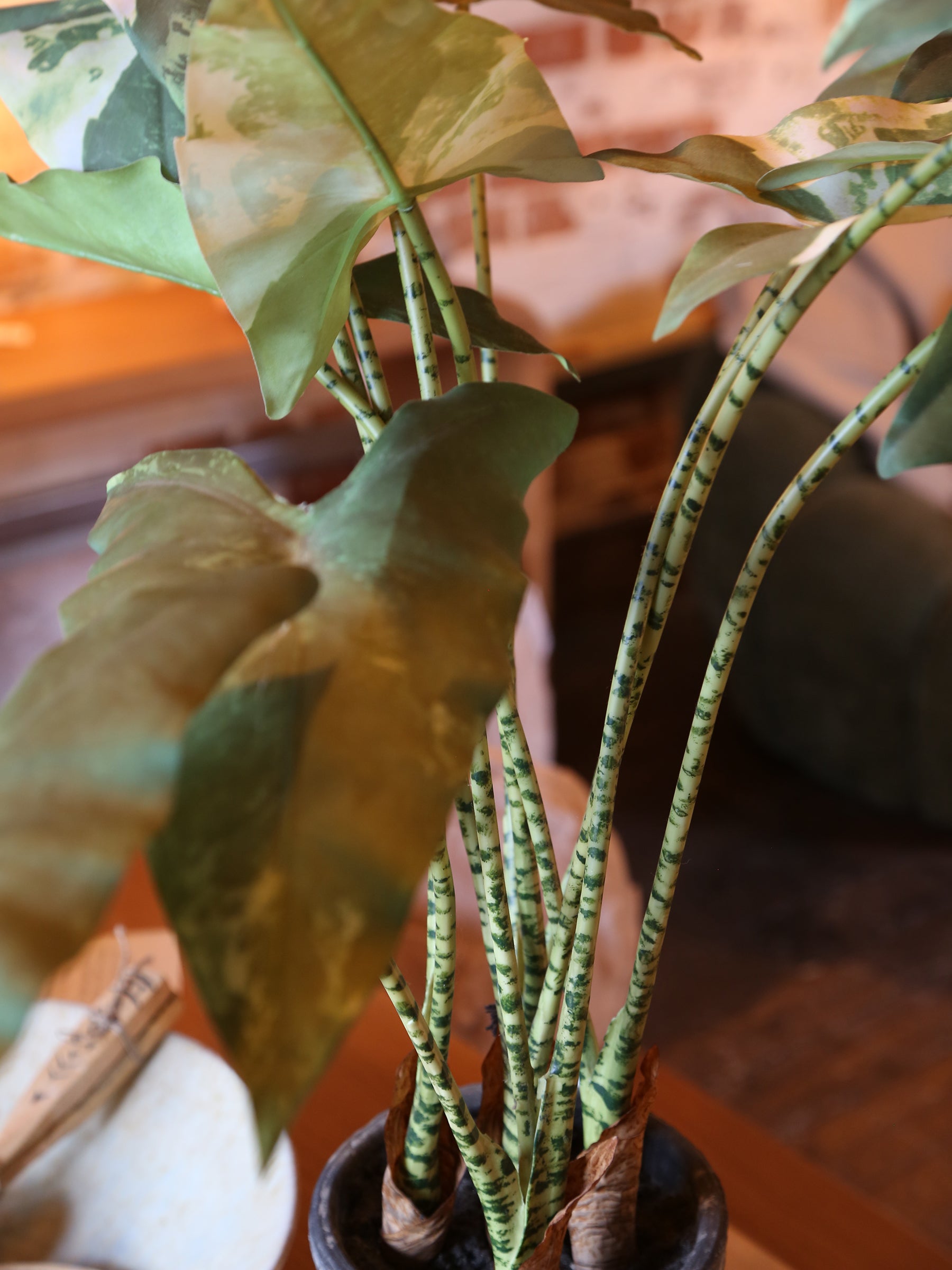 Faux Striped Zebra Leaf Potted Plant