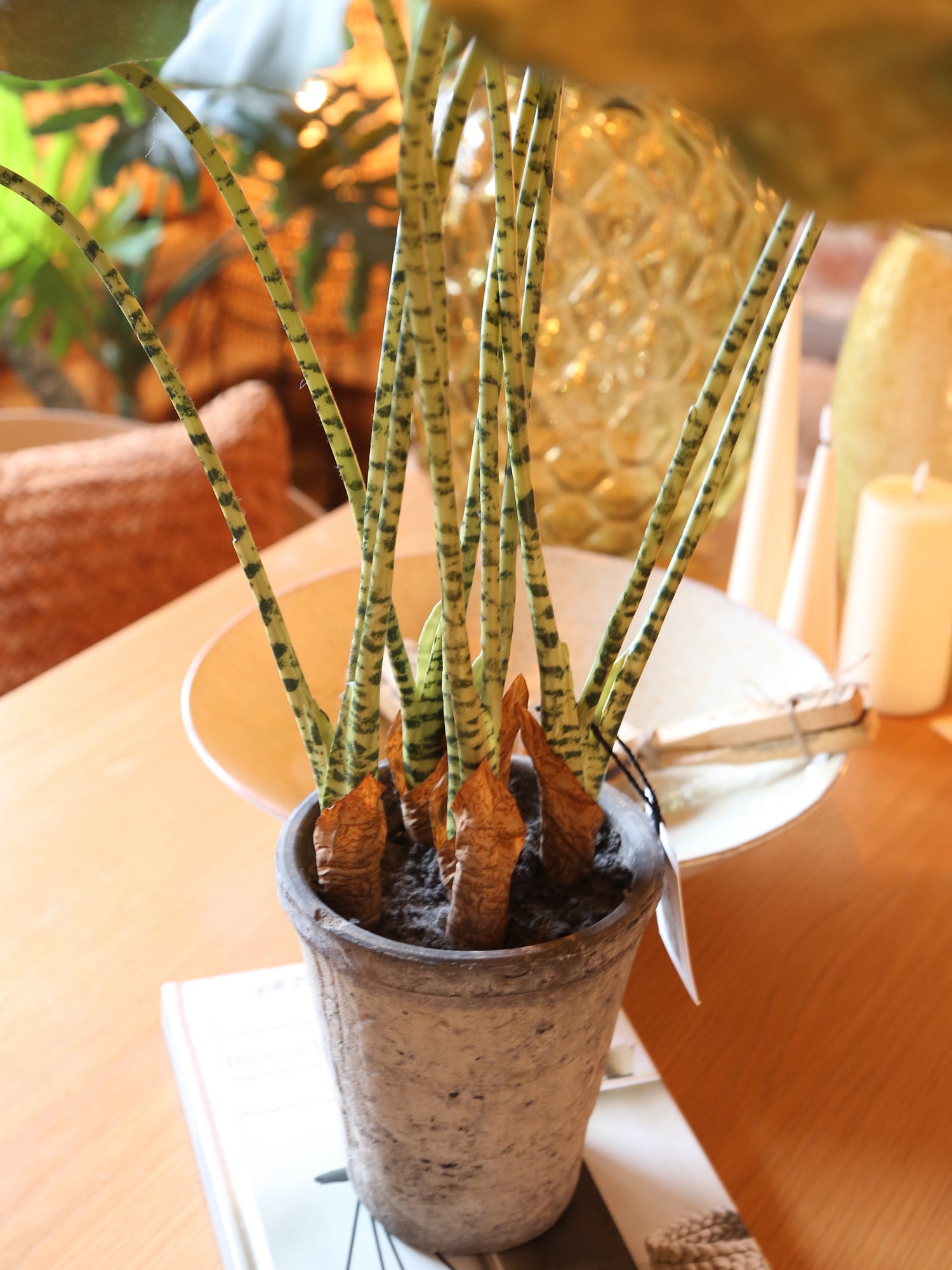 Faux Striped Zebra Leaf Potted Plant