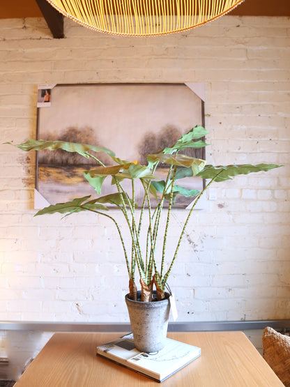 Faux Striped Zebra Leaf Potted Plant