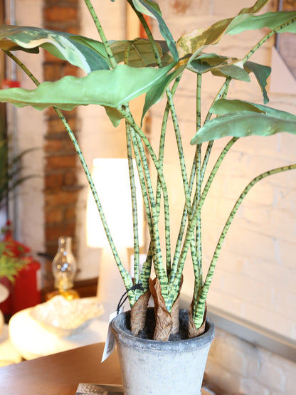 Faux Striped Zebra Leaf Potted Plant