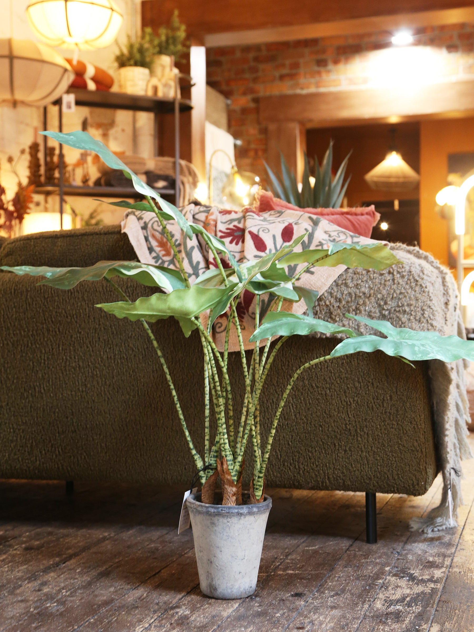 Faux Striped Zebra Leaf Potted Plant