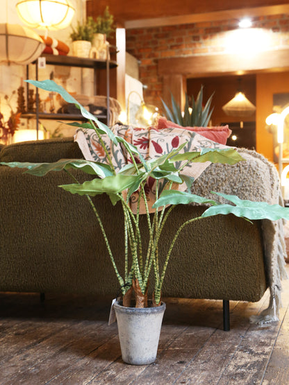 Faux Striped Zebra Leaf Potted Plant