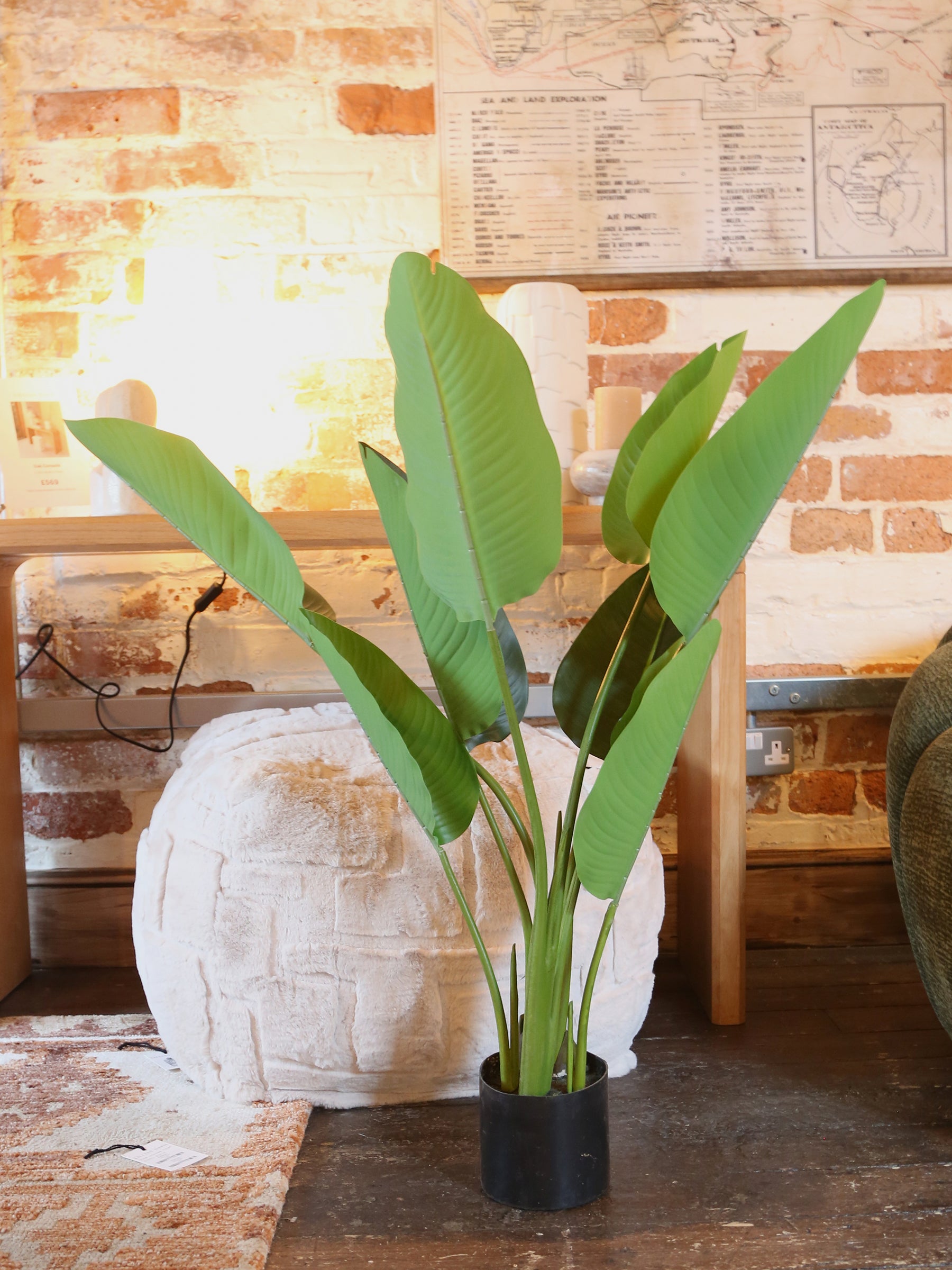 Faux Potted Strelitzia - Real Touch - 2 Sizes Available