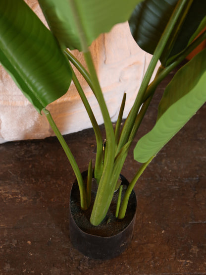 Faux Potted Strelitzia - Real Touch - 2 Sizes Available