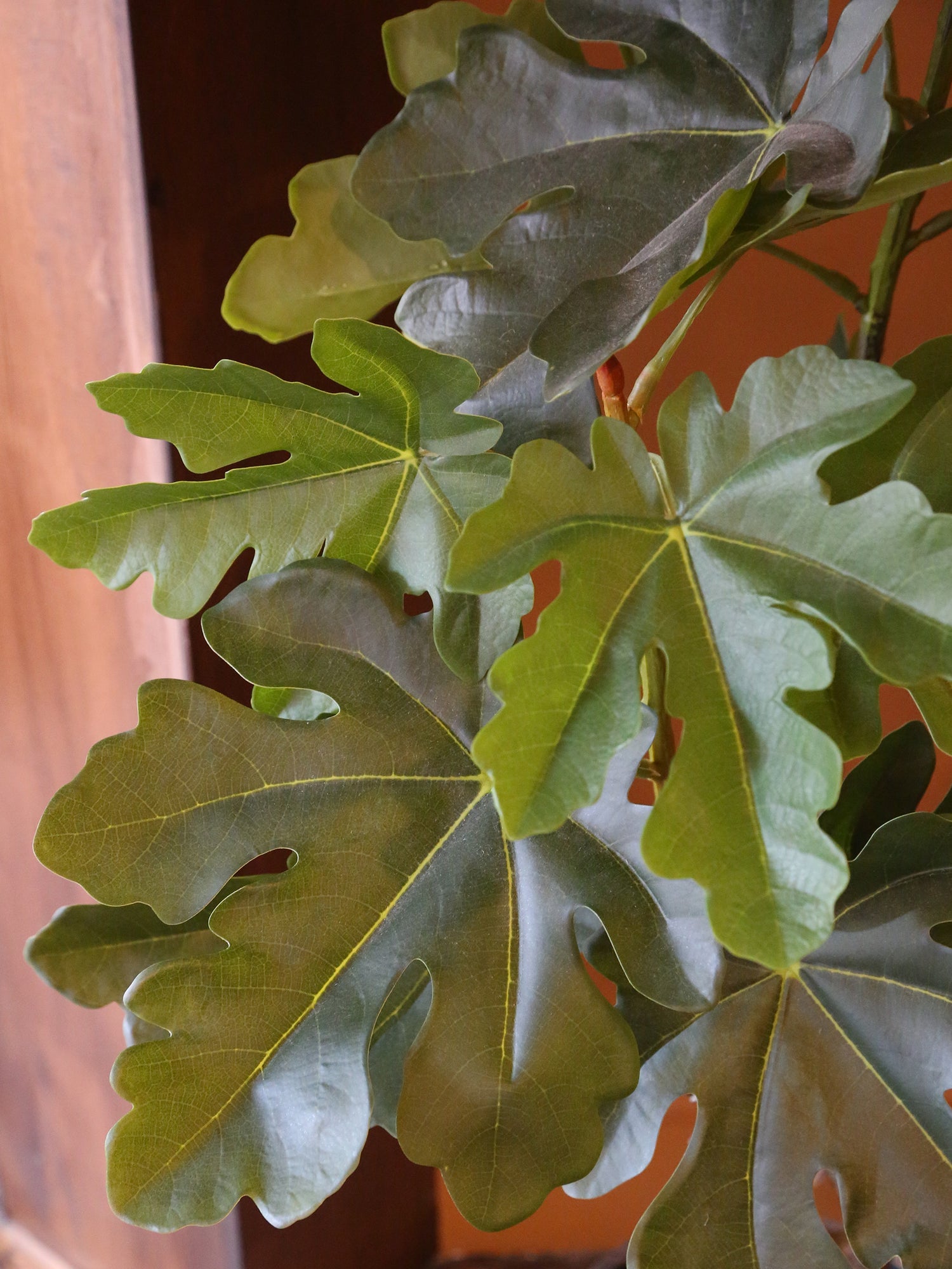 Large Faux Fig Tree In Pot