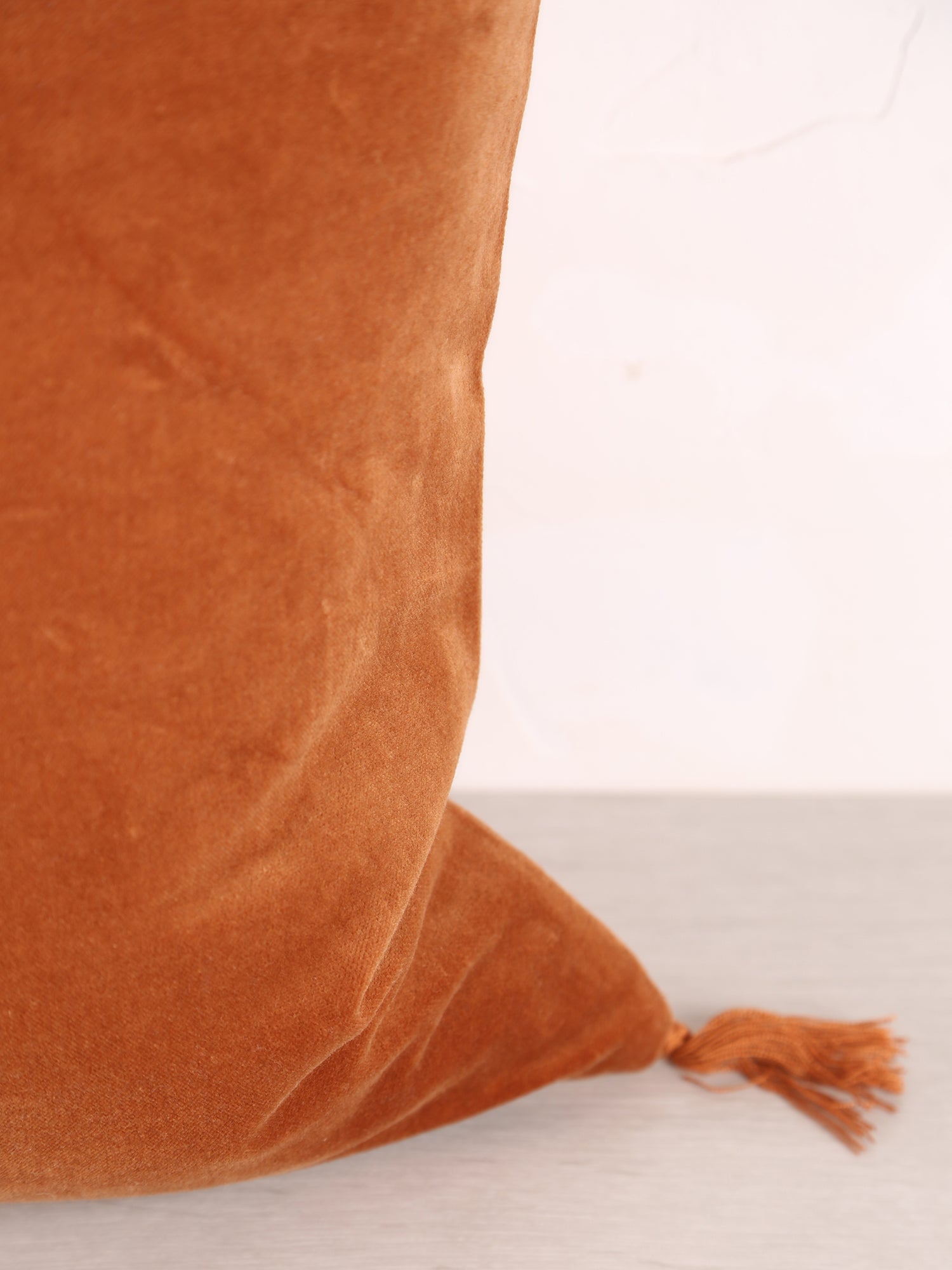 Velvet Tassel Cushion - 50x50cm - Burnt Orange