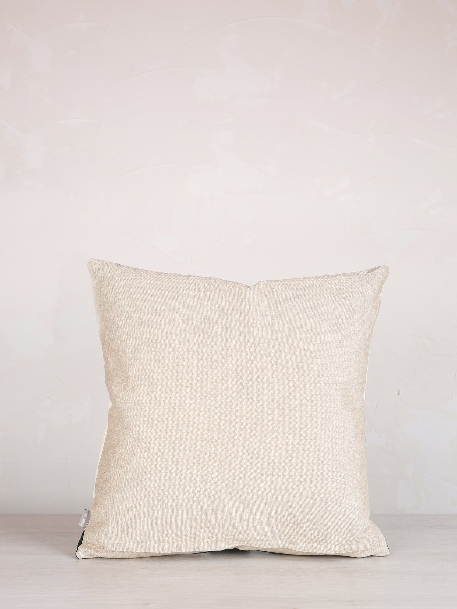 Loro Embroidered Cushion - Ciel  Rust - 45x45cm