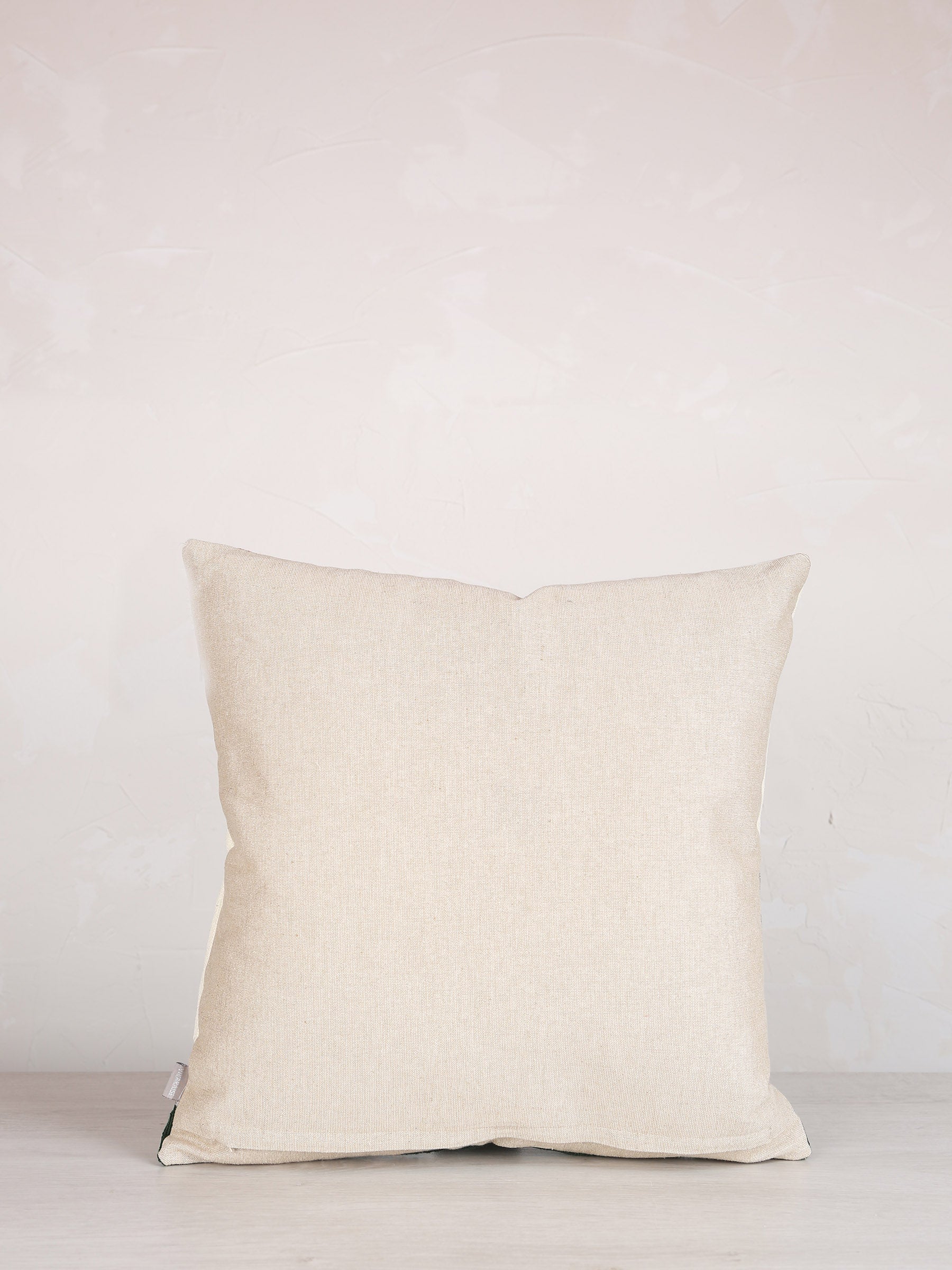 Loro Embroidered Cushion - Ciel  Rust - 45x45cm