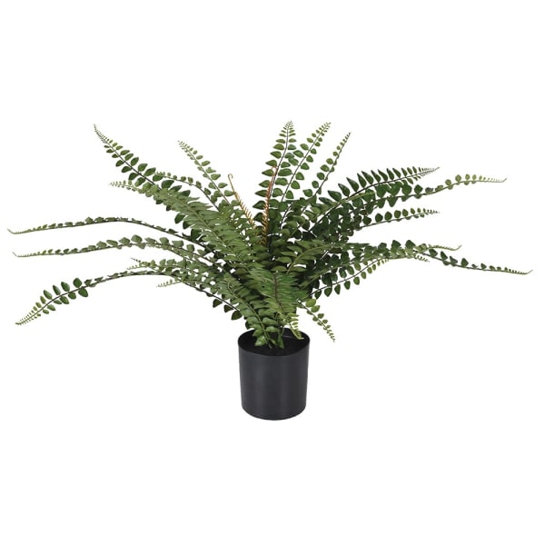 Faux Button Leaf Fern