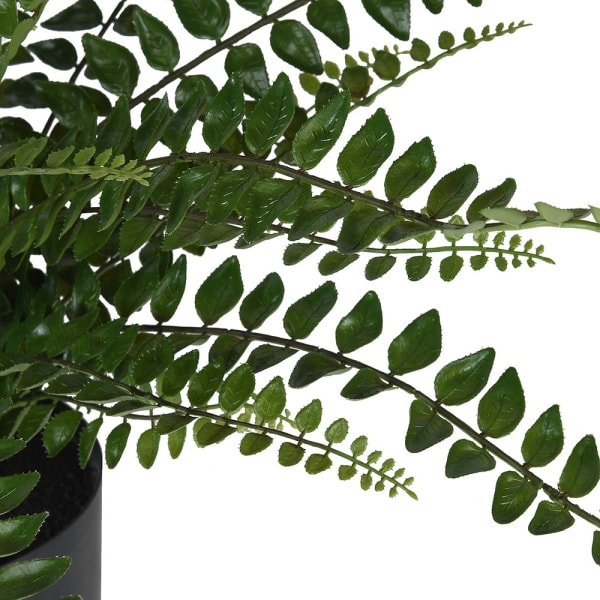 Faux Button Leaf Fern