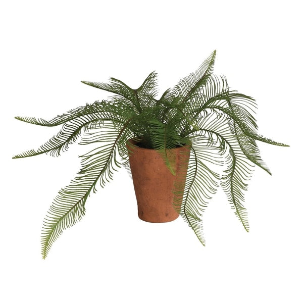 Faux Java Fern - Terracotta Pot