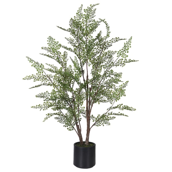 Faux Dotted Maiden Fern