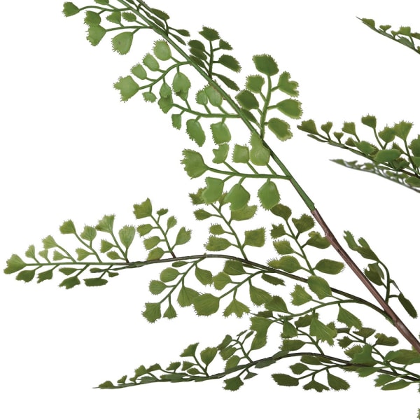 Faux Dotted Maiden Fern