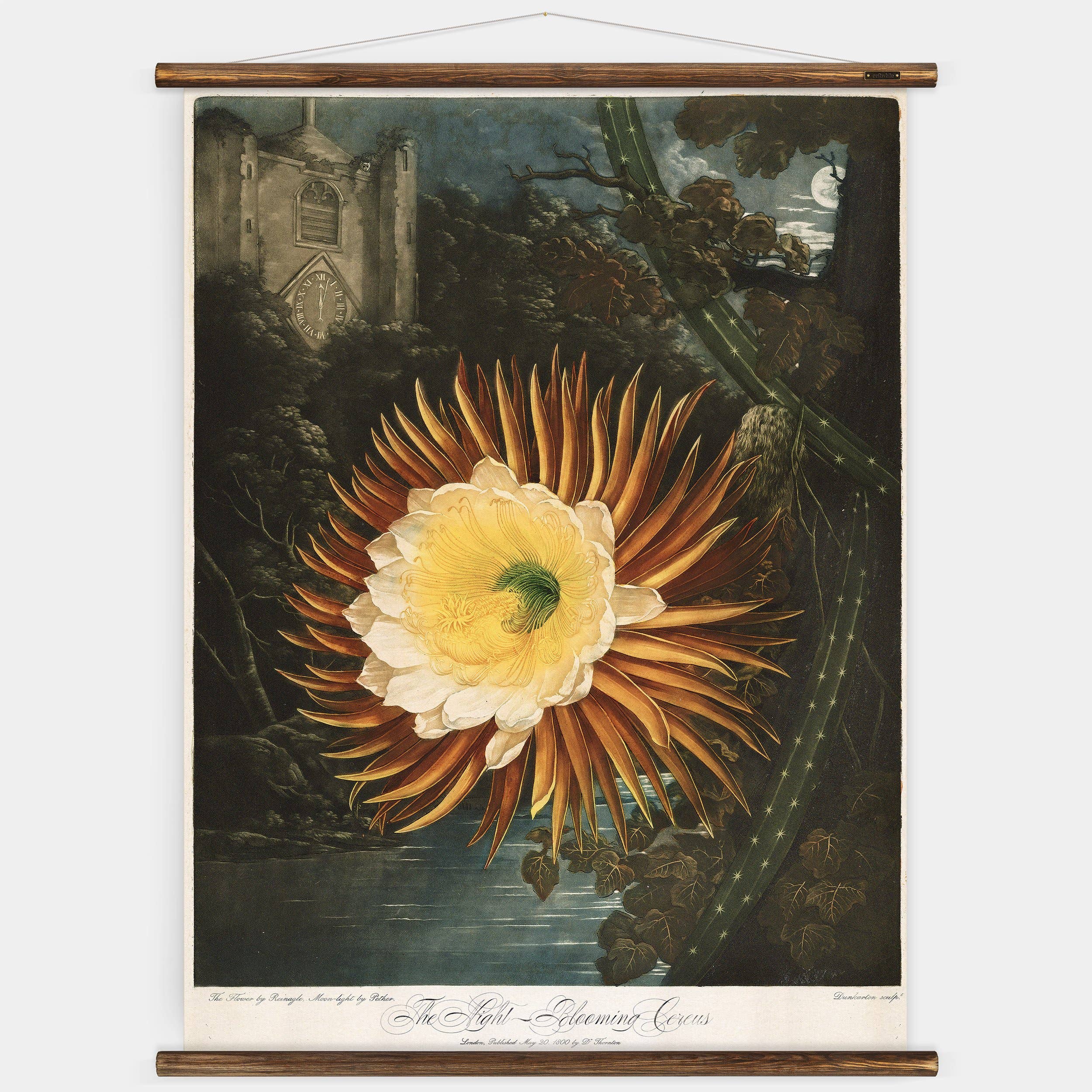 The Night Flower - Botanical Wall Chart