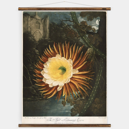The Night Flower - Botanical Wall Chart