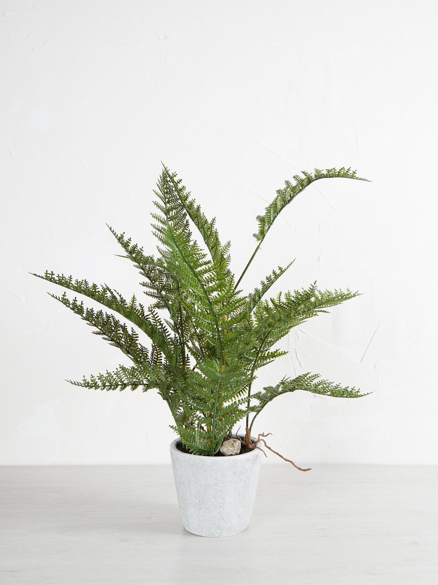 Faux Bracken Fern Plant In Cement Style Pot