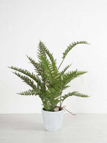 Faux Bracken Fern Plant In Cement Style Pot