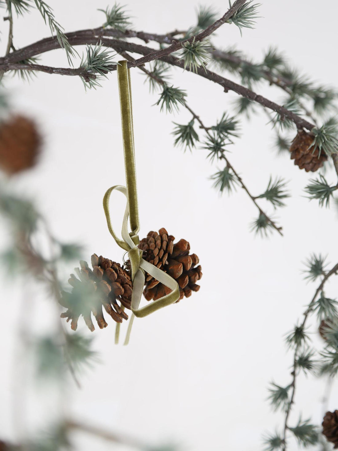Pinecone Decoration With Sage Bow