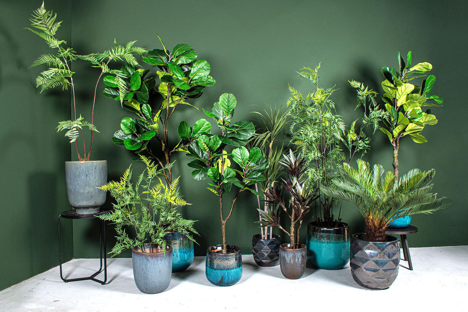 Faux Green Sword Plant - In Black Pot