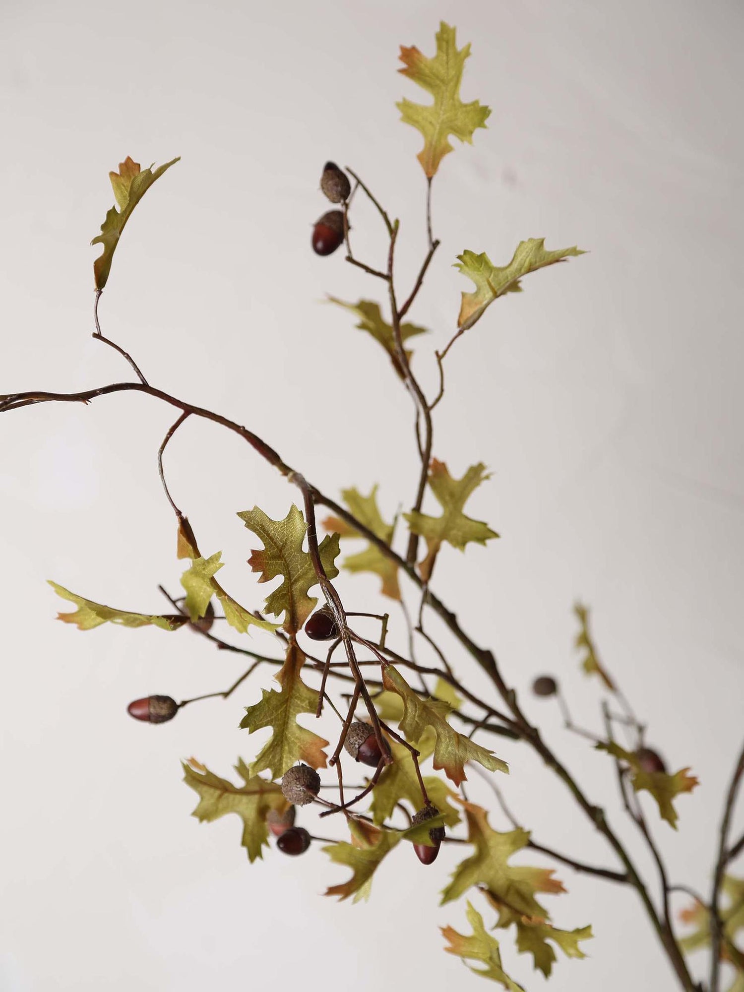 Faux Oak Acorn Stem