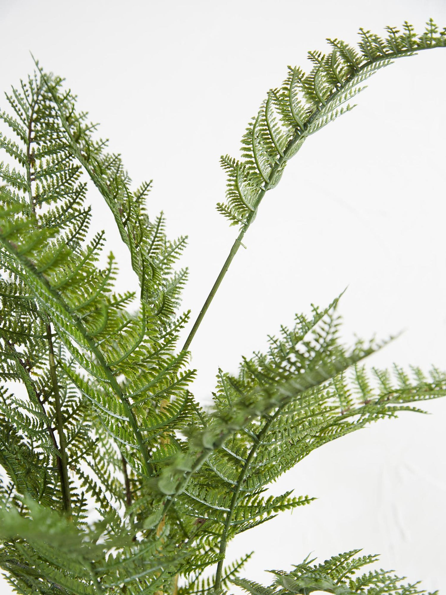 Faux Bracken Fern Plant In Cement Style Pot