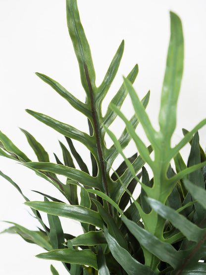 Large Faux Fern Stem