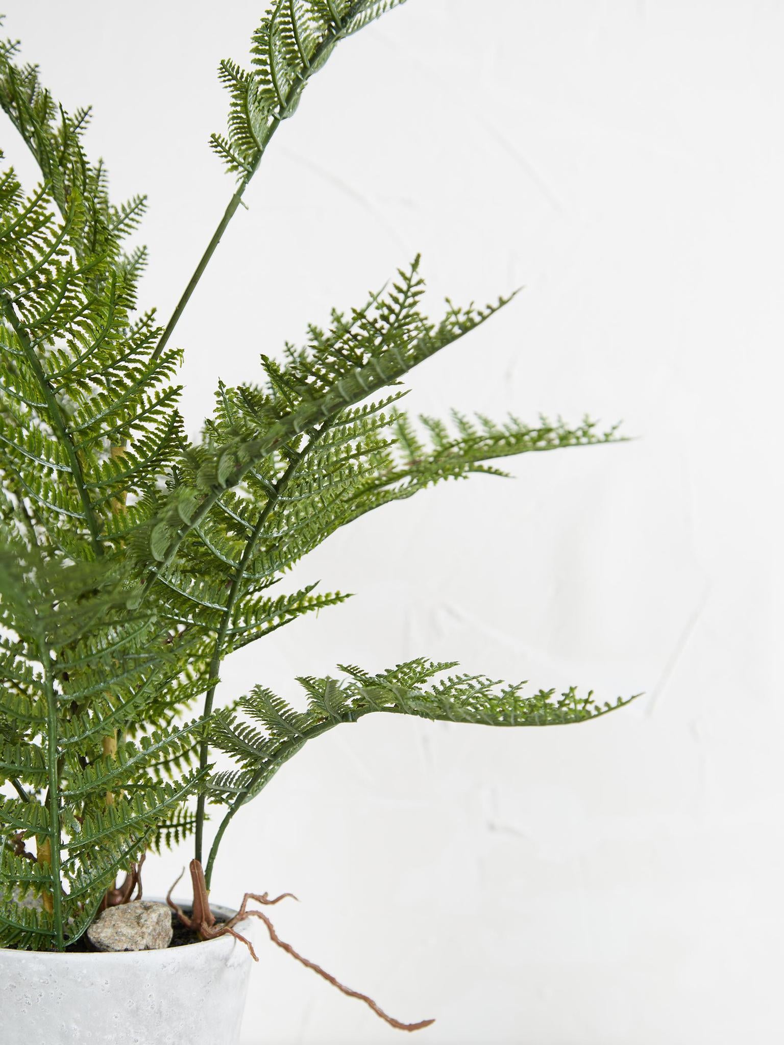 Faux Bracken Fern Plant In Cement Style Pot