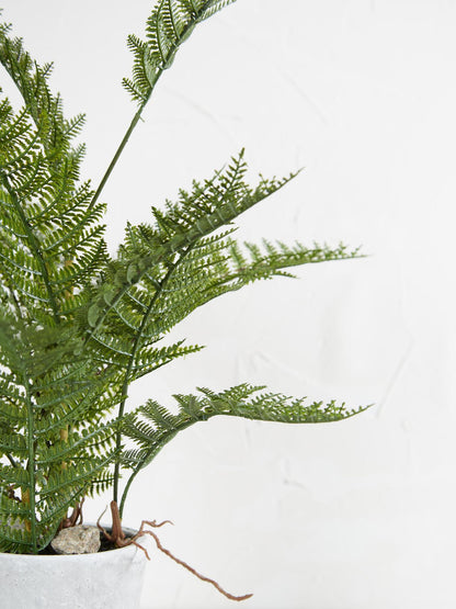 Faux Bracken Fern Plant In Cement Style Pot