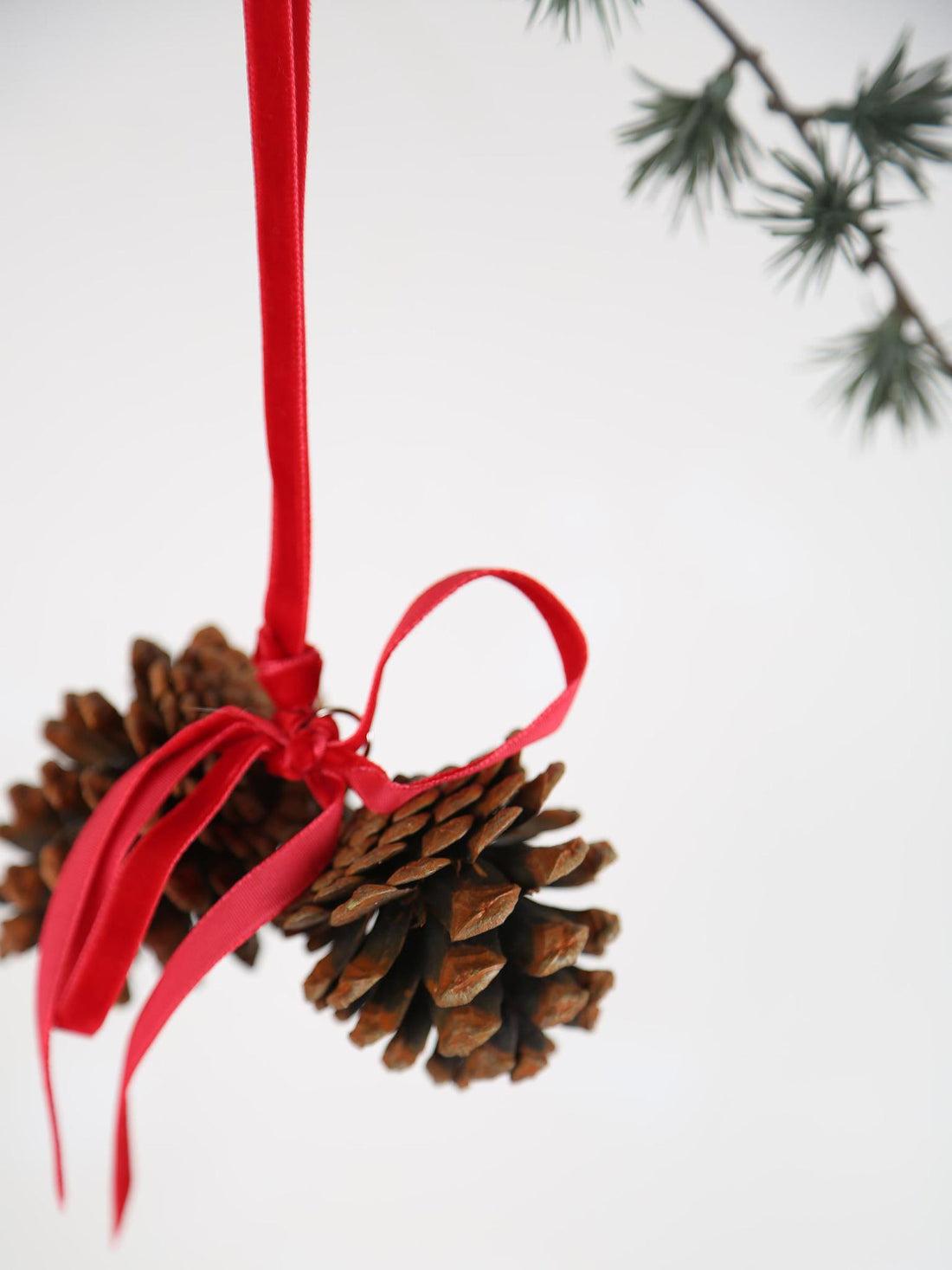 Hanging Pinecone Decoration
