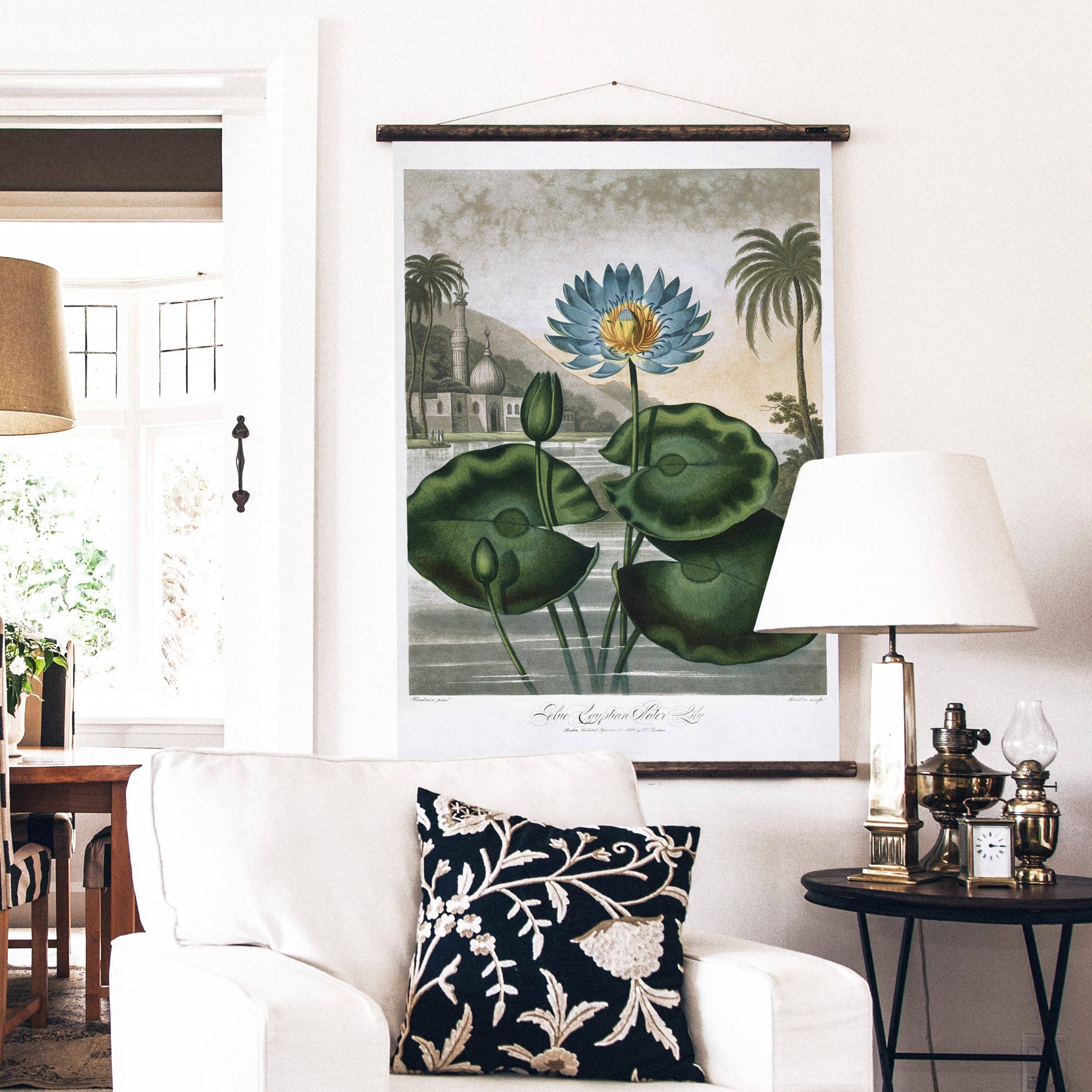 The Water Lily - Botanical Wall Chart