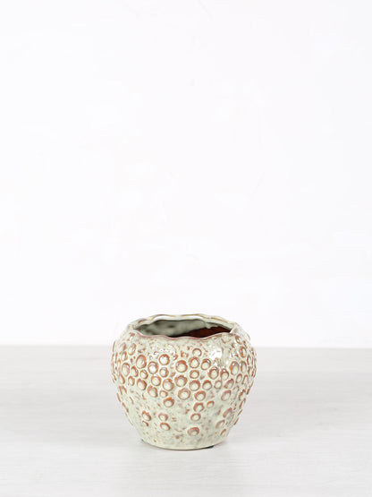 Avis Ceramic Pot - Cream