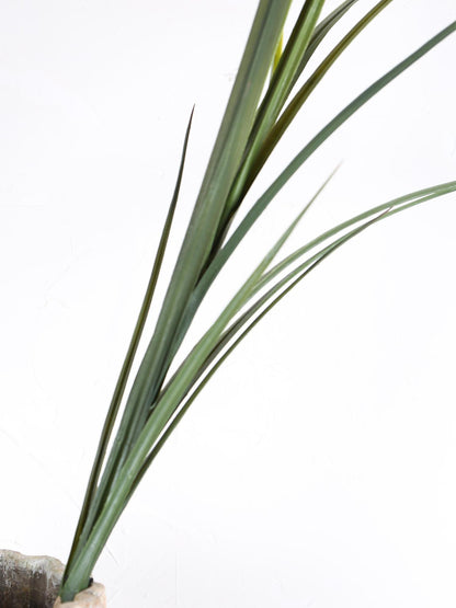 Faux Yucca Spray