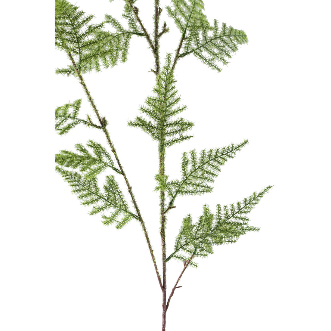 Faux Fern Plant Green Asparagus Spray
