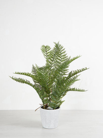 Faux Bracken Fern Plant In Cement Style Pot